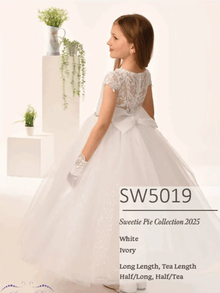sw5019-2