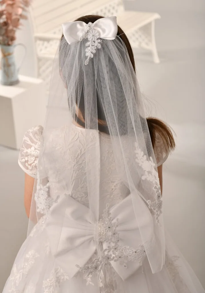 V010 Veil