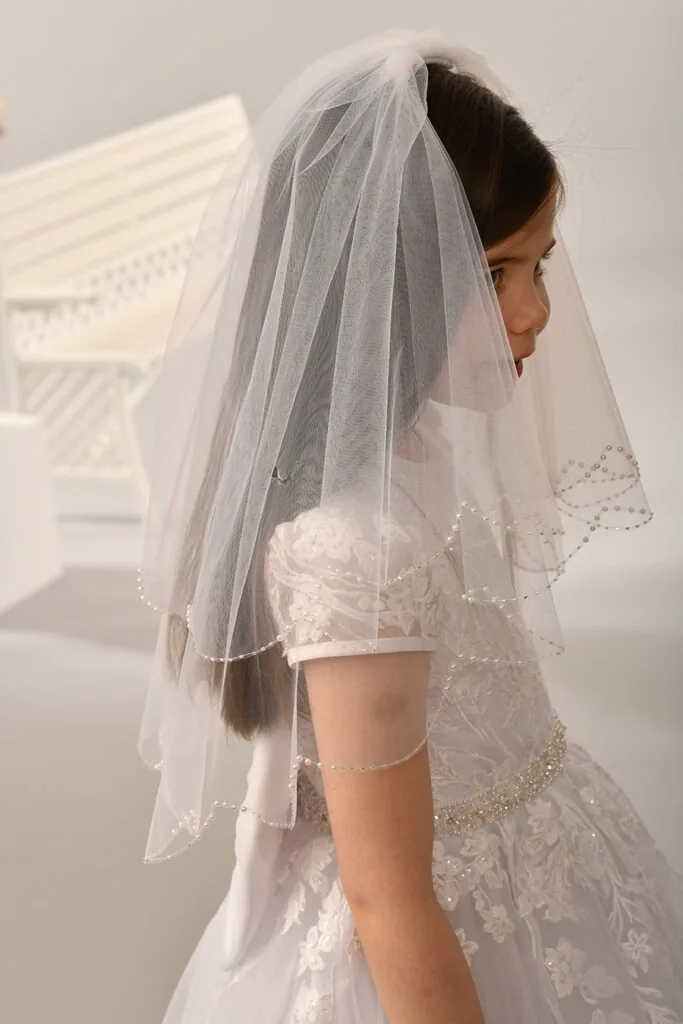 V011 Veil