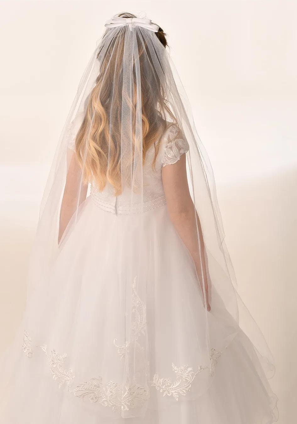 V5004 Veil