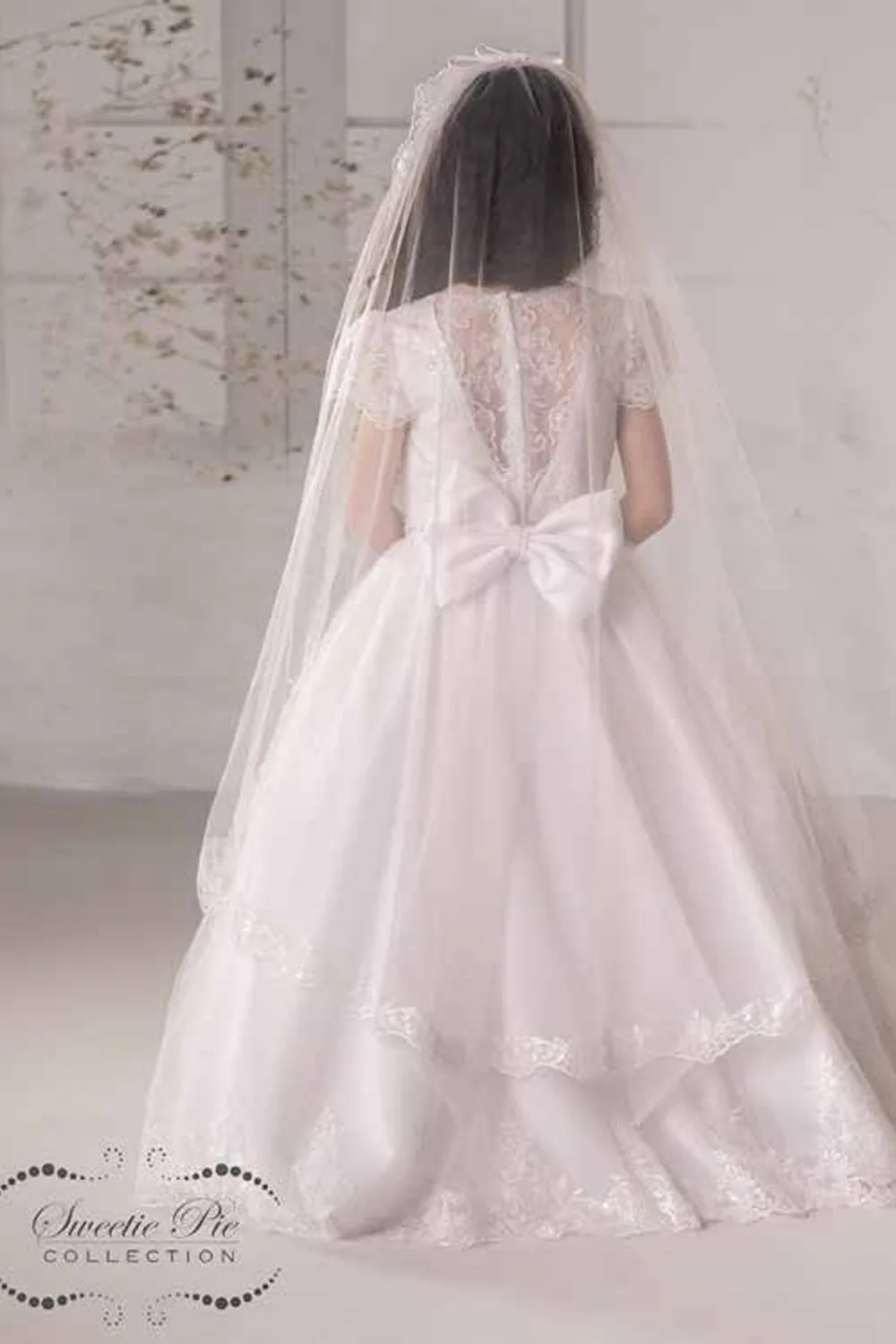 Veil 4093